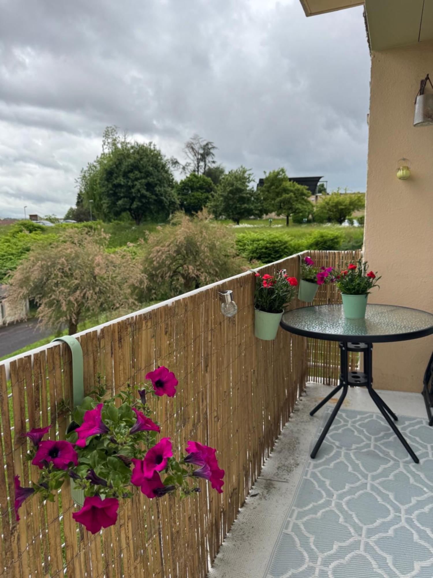 Appartement Chaleureux Et Spacieux T3 리모주 외부 사진